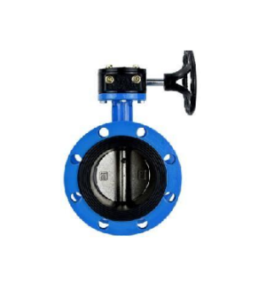 Van Bướm Gang 2 Mặt Bích